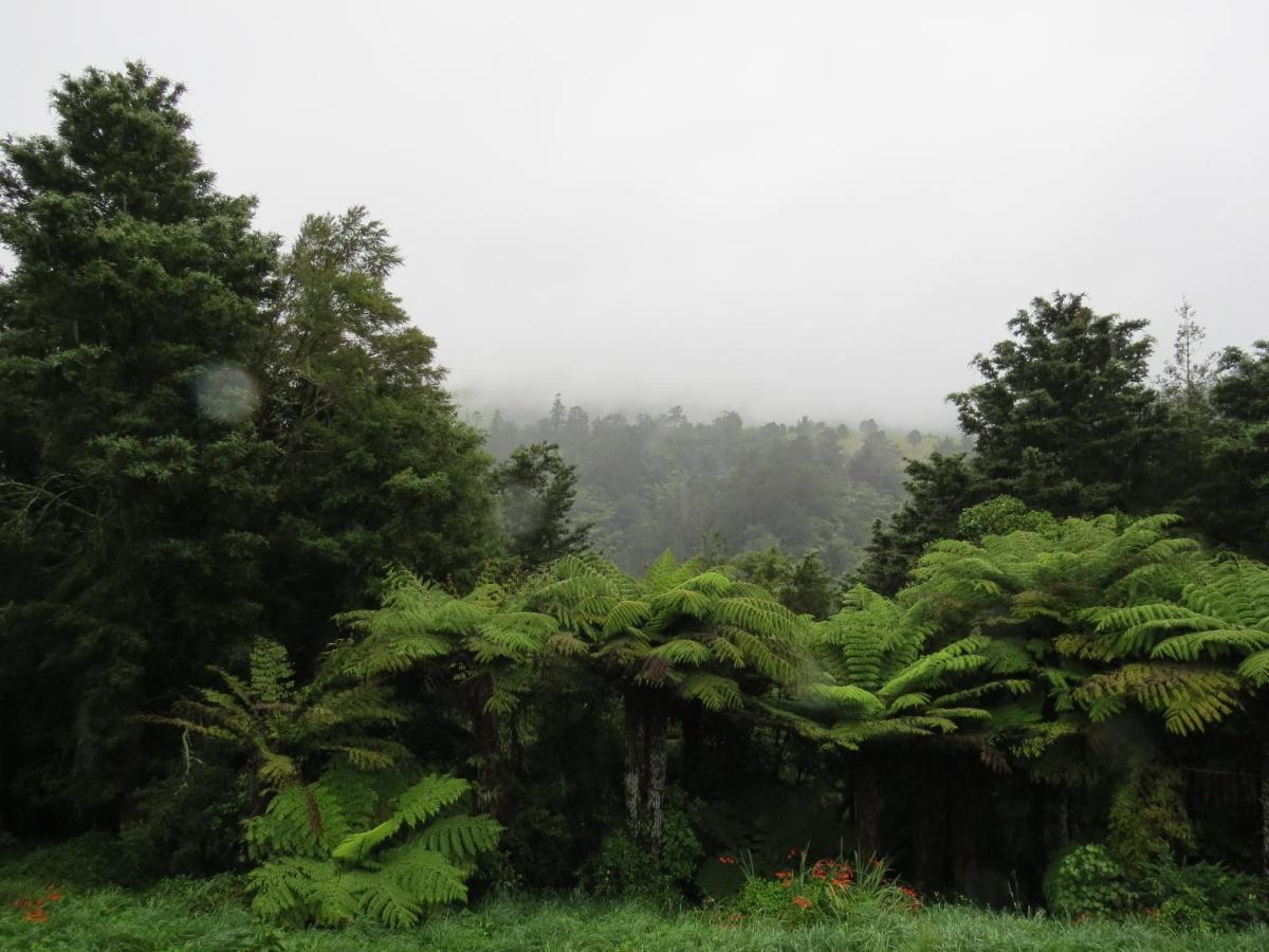 Crown Ridge Miners Cottage Karangahake ภายนอก รูปภาพ