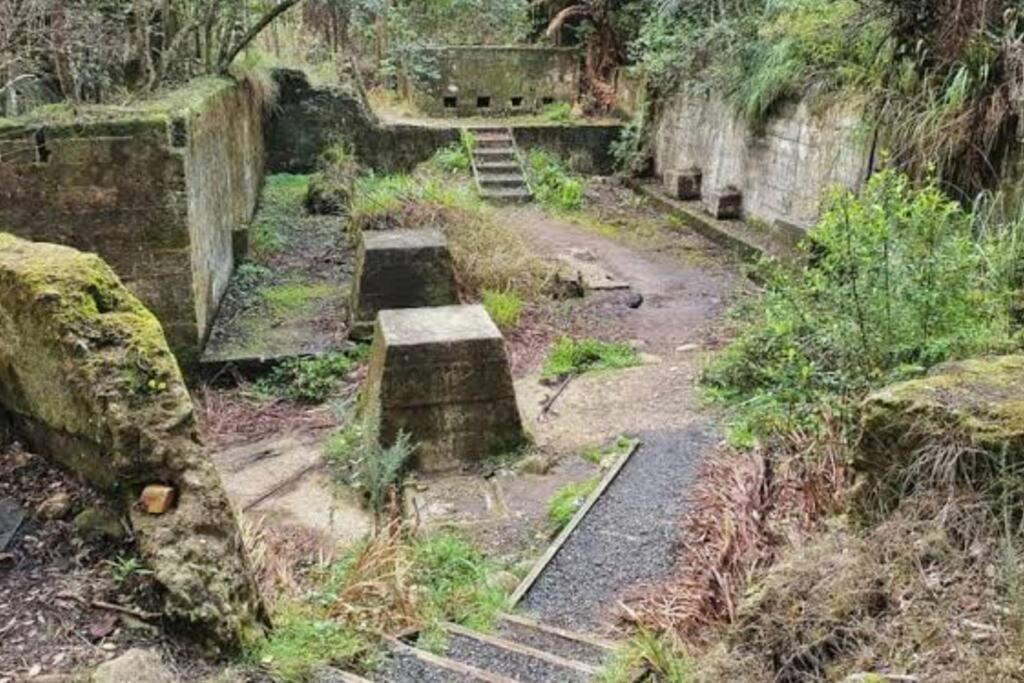Crown Ridge Miners Cottage Karangahake ภายนอก รูปภาพ