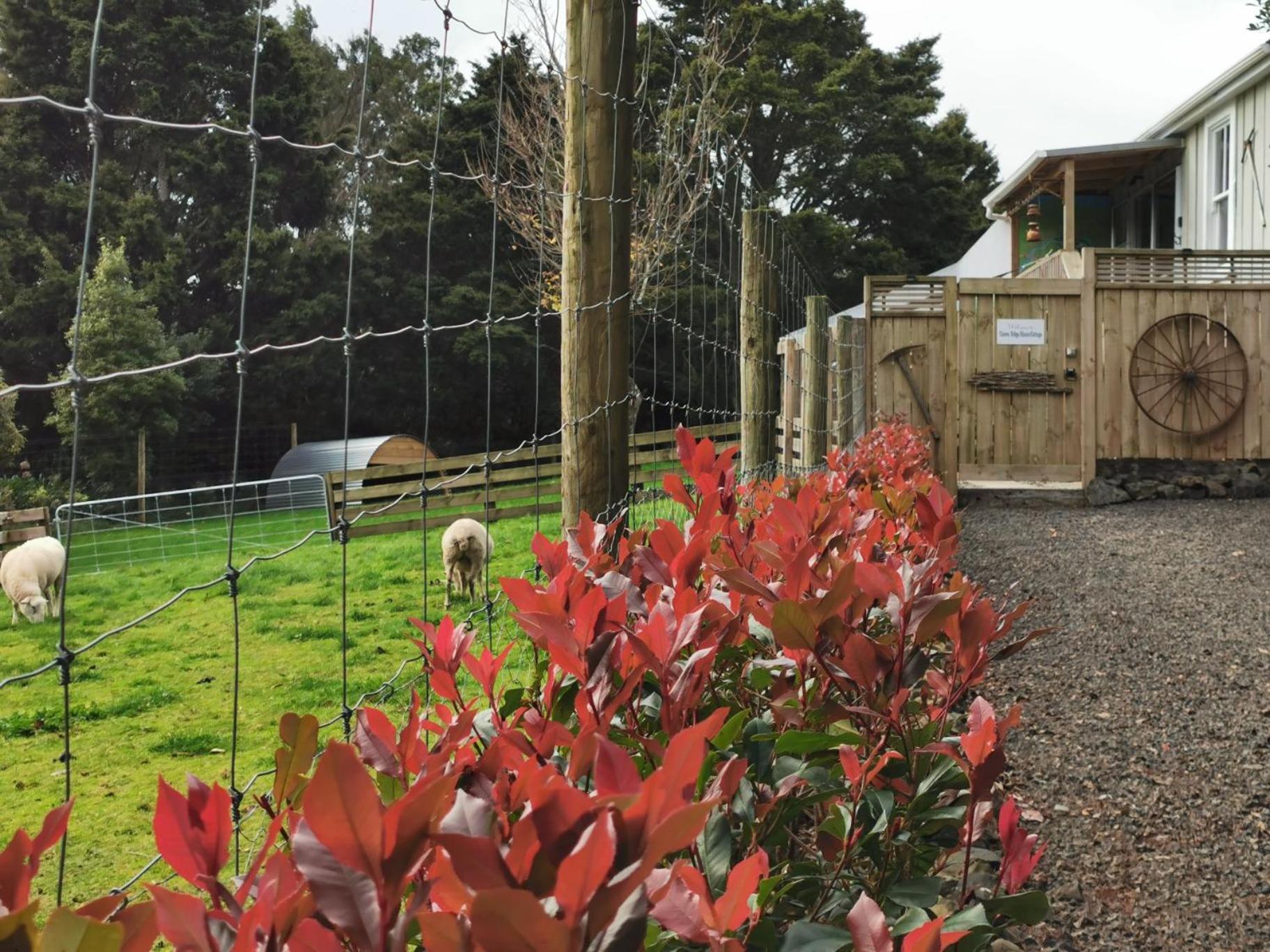 Crown Ridge Miners Cottage Karangahake ภายนอก รูปภาพ
