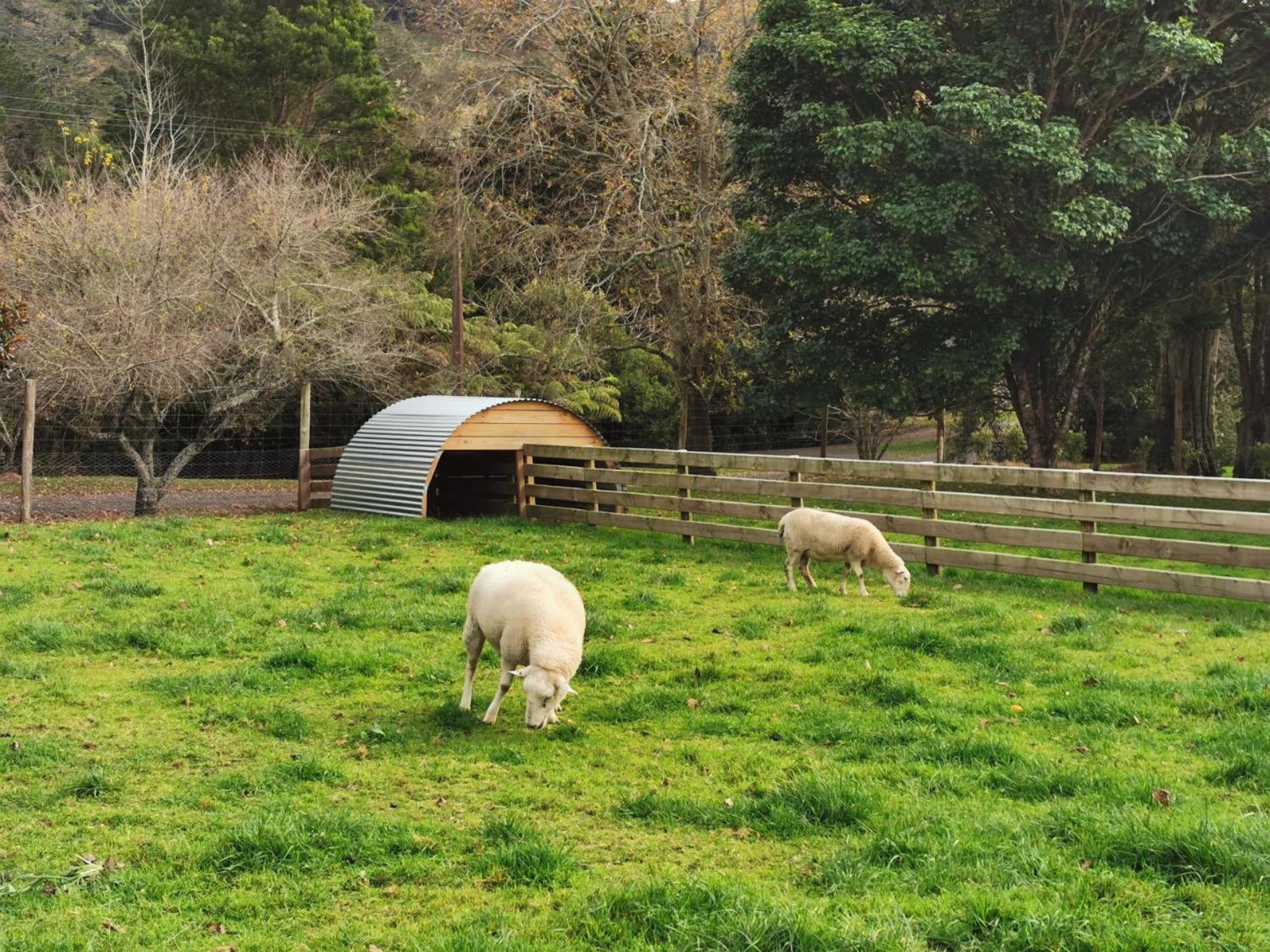 Crown Ridge Miners Cottage Karangahake ภายนอก รูปภาพ
