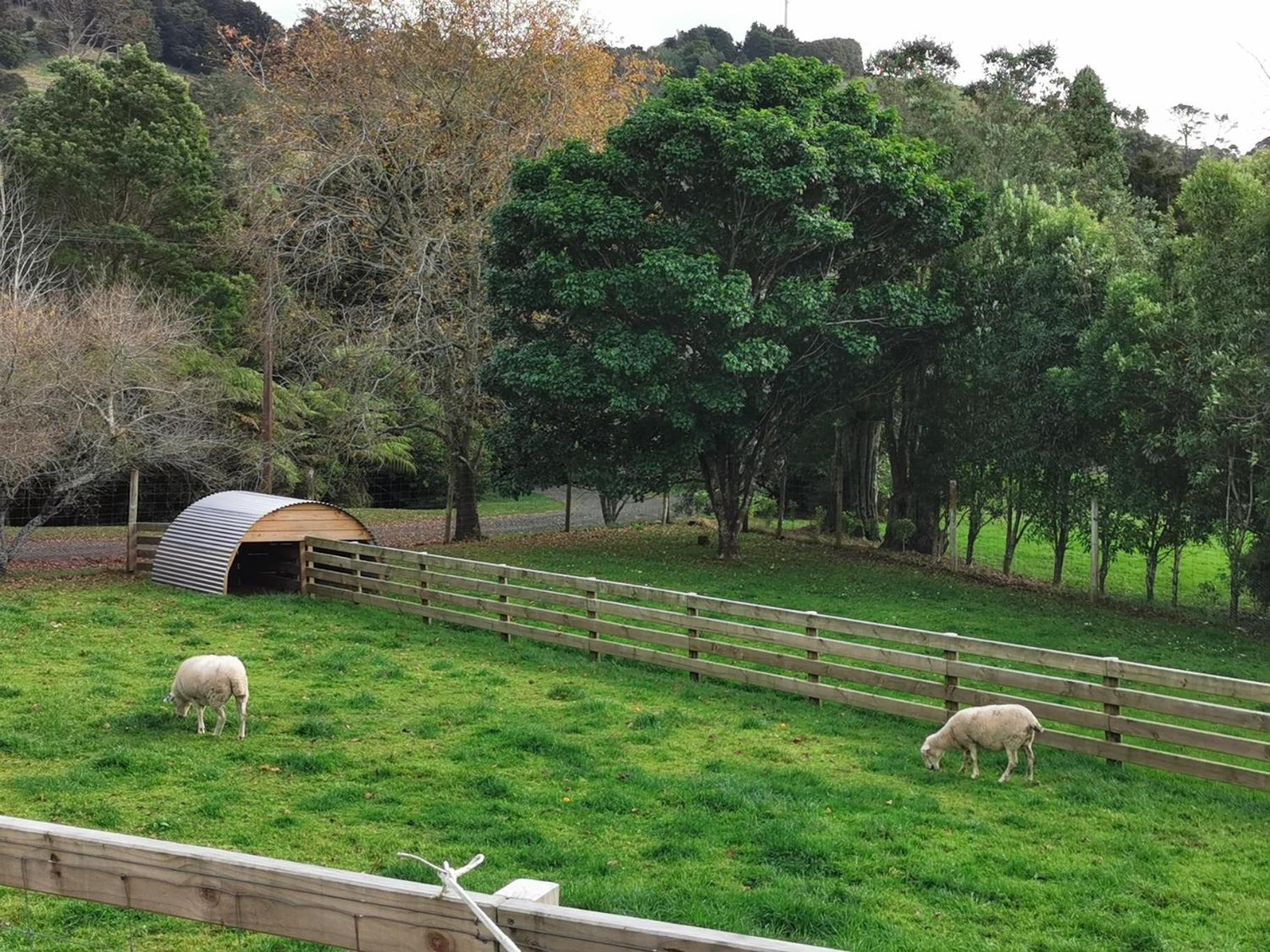 Crown Ridge Miners Cottage Karangahake ภายนอก รูปภาพ